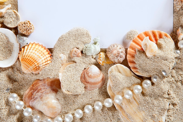 copia spazio estate spiaggia di sabbia conchiglie perla bianca