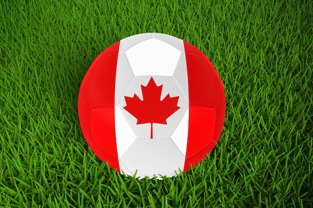 Coppa del mondo di calcio della bandiera del Canada