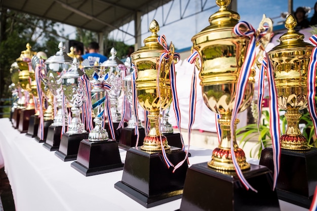 Coppa trofeo d&#39;oro del primo piano e trofeo d&#39;argento.