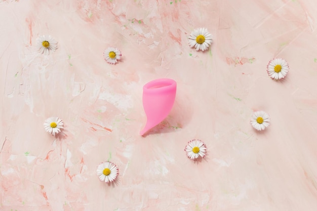 Coppetta mestruale in silicone rosa ecologico con fiori di margherita bianca fresca su sfondo rosa Cura delicata salute femminile zero rifiuti concetto periodo di igiene prodotto Spazio piatto per la copia