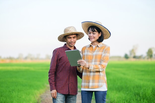 Coppia agricoltori uomo e donna in piedi e utilizzando tablet in fattoria di riso verde.