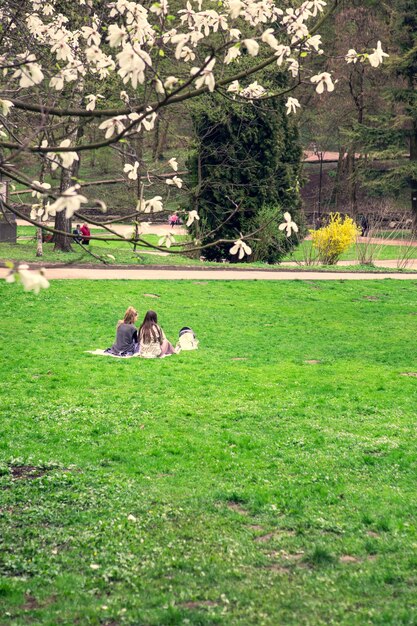 Coppia che riposa nel parco all'erba verde allo spazio della copia del parco pubblico in fiore primaverile