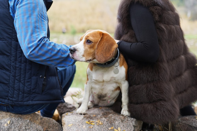 Coppia con cane beagle seduto nel parco