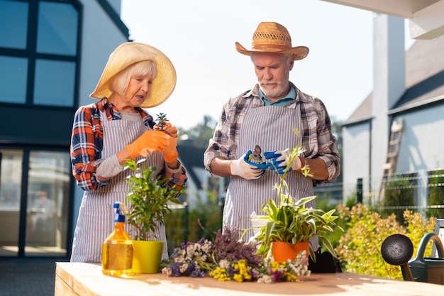 Coppia. Coppia intenzionale laboriosa che si sente motivata mentre si prende cura di piante e fiori