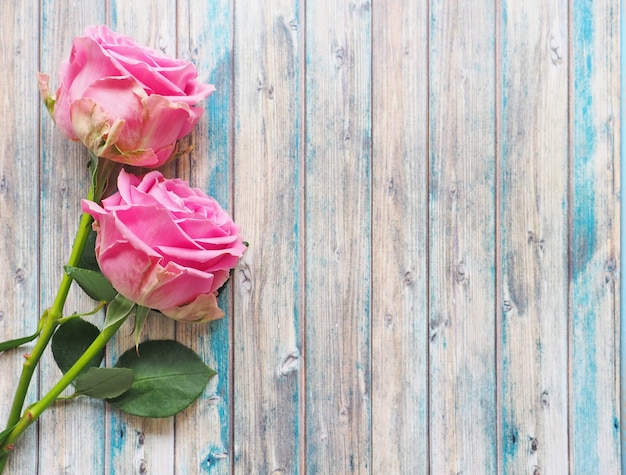 Coppia di belle rose rosa su fondo di legno blu