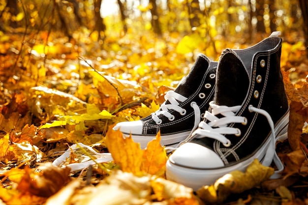 Coppia di scarpe da ginnastica su foglie cadute nel parco autunnale vista ravvicinata