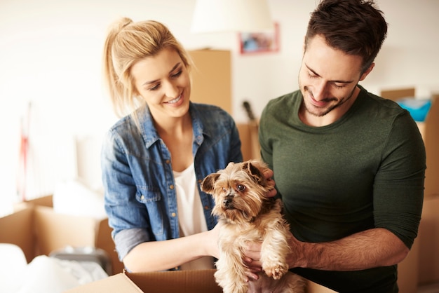 Coppia felice che mette il cane nella scatola