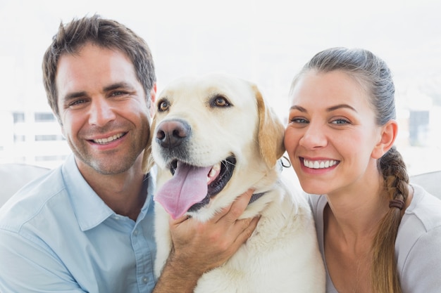 Coppia felice che sfrega il loro labrador giallo sul divano