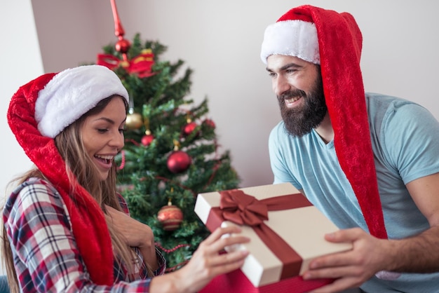 Coppia, festeggiare, Natale, insieme