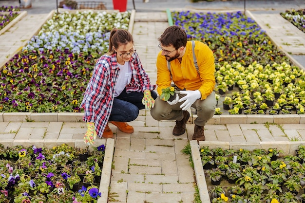 Coppia in amore accovacciato all'aperto e prendersi cura dei fiori. Uomo che tiene la pentola con i fiori.