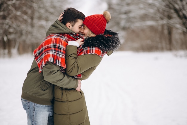 Coppia in amore in un parco d&#39;inverno