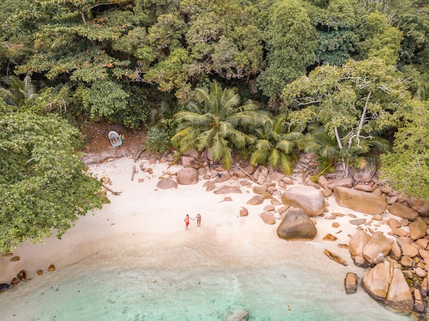 Coppia in piedi sulla spiaggia contro gli alberi