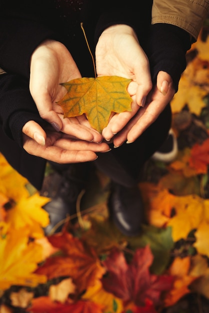 Coppia innamorata con le mani aperte che tengono una foglia gialla nella foresta