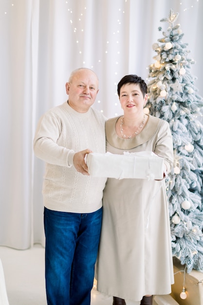 coppia matura allegra tenendo presente confezione regalo in posa contro l'albero di Natale