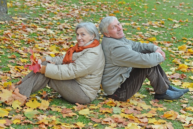 Coppia nel parco autunnale seduto sulle foglie