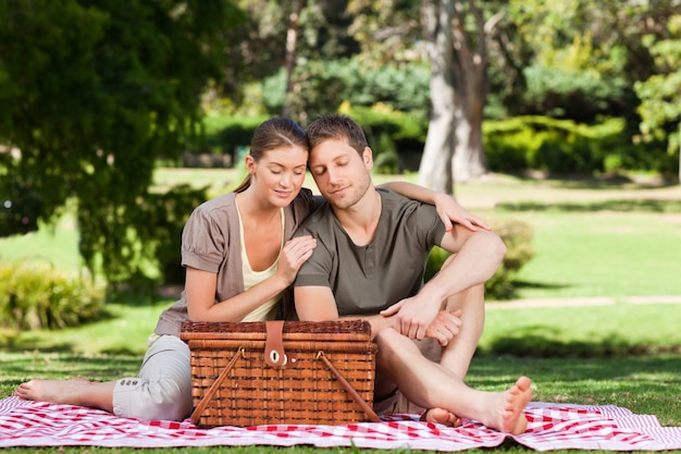 Coppia, picnic, parco