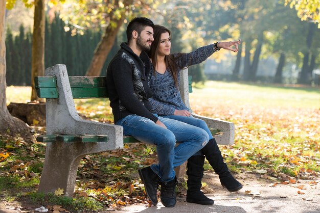 Coppia Romantica Su Una Panchina In Autunno Parco