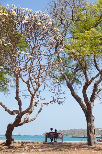 Coppia seduta su una panchina sotto un albero.