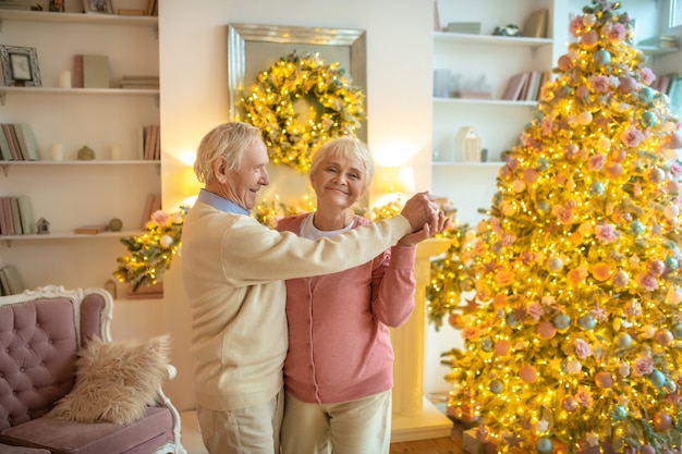 Coppia senior a casa il Natale