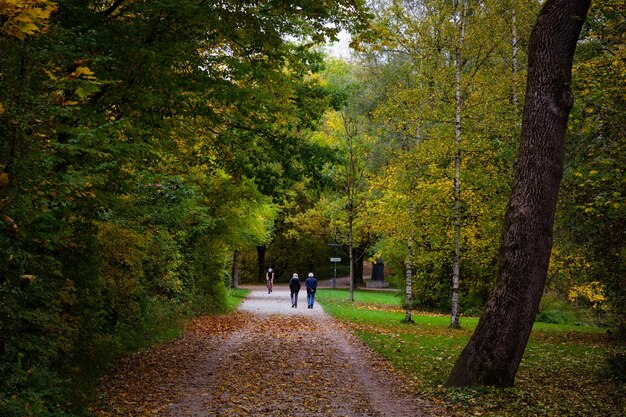 Coppia senior a piedi sulla distanza nel parco nella stagione autunnale. Persone che praticano attività all'aperto