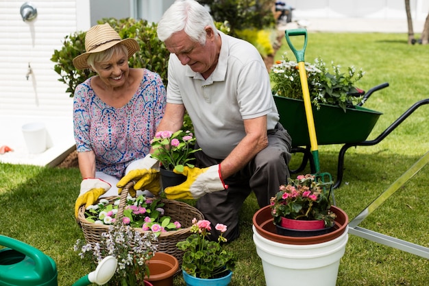 Coppia senior giardinaggio insieme nel cortile