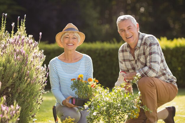 Coppia senior giardinaggio insieme