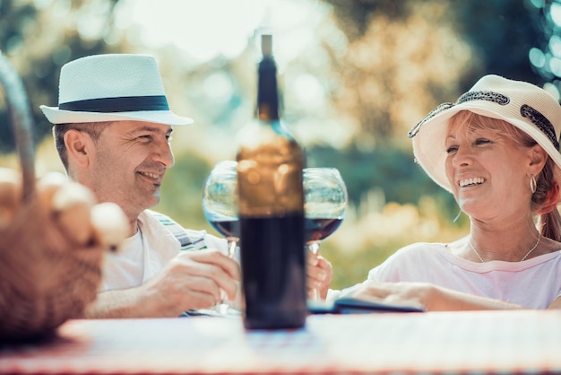 Coppie che godono del vino rosso sul picnic nel parco.