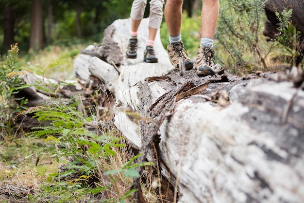 Coppie della viandante che camminano sul tronco di albero