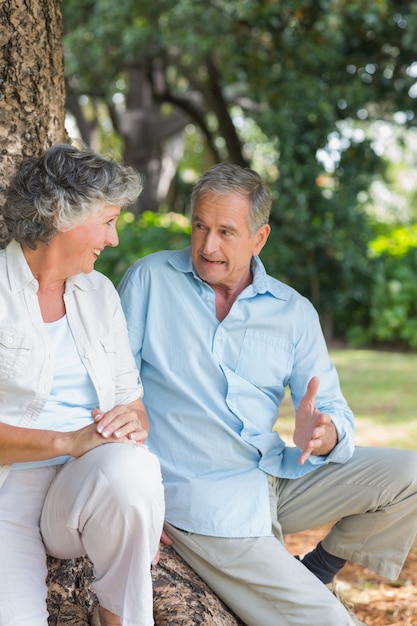 Coppie mature sorridenti che parlano insieme da un albero