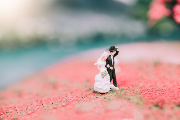 Coppie miniatura della sposa e dello sposo di nozze con il fondo della natura