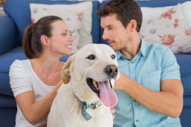 Coppie rilassate con il cane di animale domestico che si siede nel salone