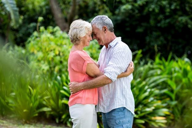 Coppie senior che abbracciano nell'iarda