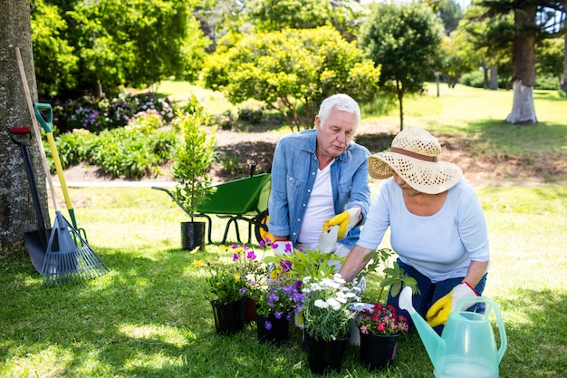 Coppie senior che fanno il giardinaggio nel parco