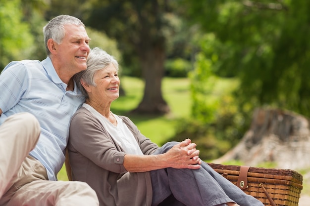 Coppie senior sorridenti che si siedono con il canestro di picnic al parco