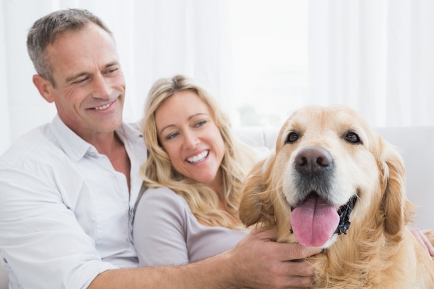 Coppie sorridenti accarezzare il loro golden retriever sul divano