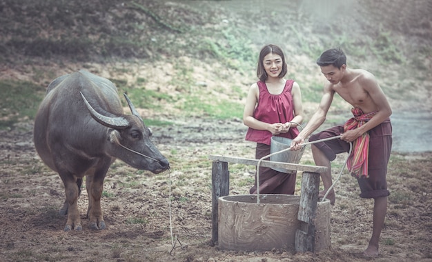 Coppie tailandesi che usando un pozzo con un bufalo