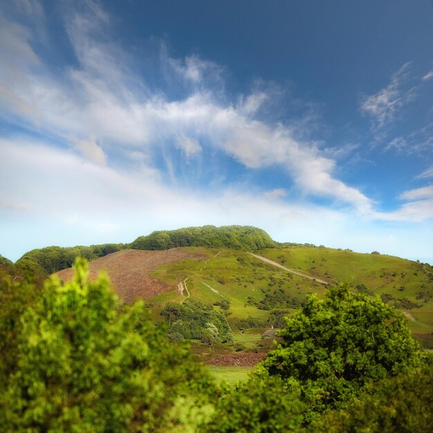 Copyspace e paesaggio del pendio di montagna con pascoli verdi e passaggi stretti sotto un cielo nuvoloso Vista laterale inclinata di una collina con vegetazione Meta escursionistica di montagna nella natura