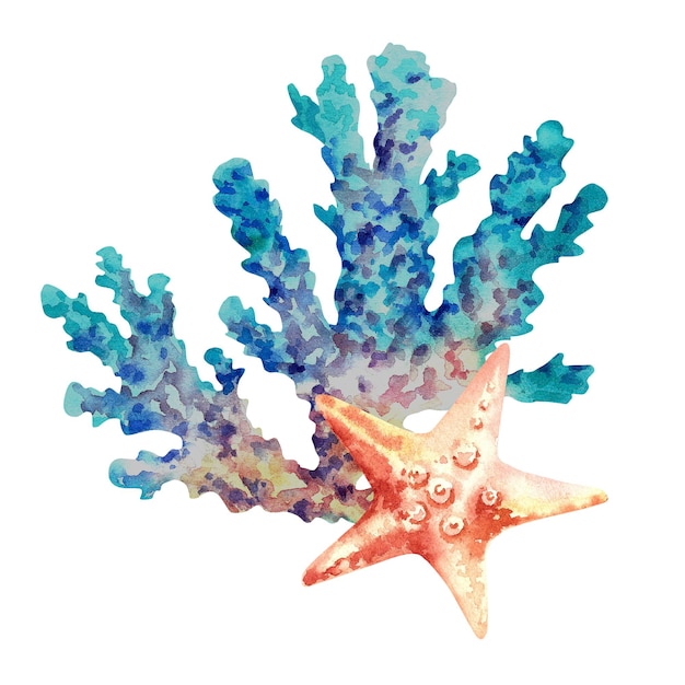 Coralli marini e stelle marine Illustrazione ad acquerello su uno sfondo isolato Animali marini Coralli blu