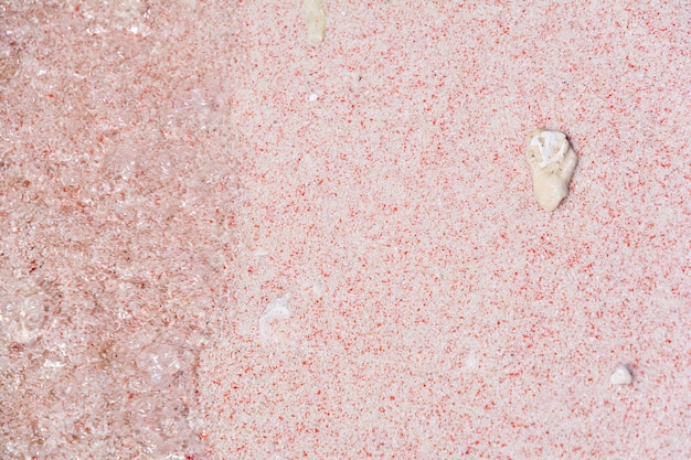 Corallo sulla sabbia rosa a Pink Beach nel Parco Nazionale di Komodo