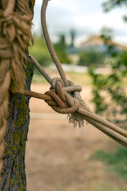 Corda legata a un albero, nodo marino