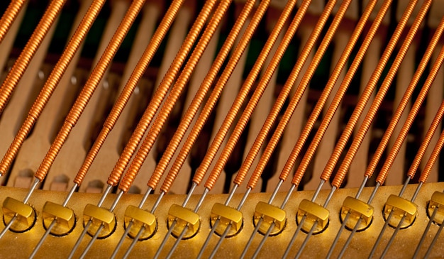 Corde di pianoforte in macro