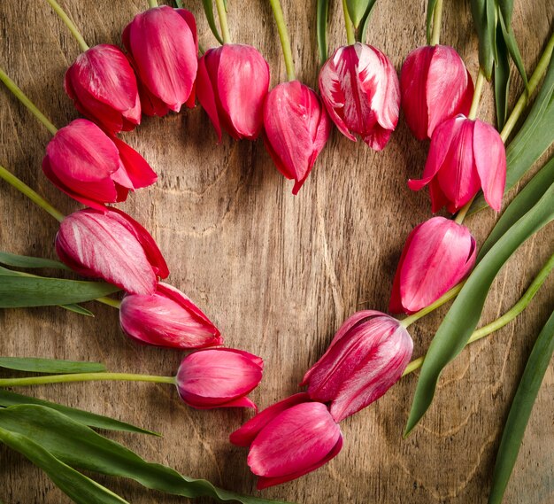 Cornice a forma di cuore di tulipani freschi