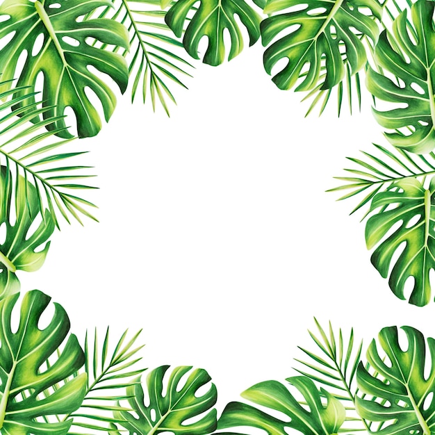 Cornice acquerello con illustrazione tropicale realistica di monstera e palma isolata su dorso bianco