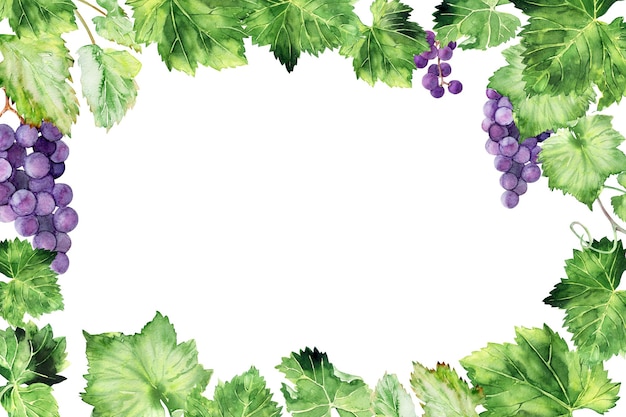 Cornice acquerello con rami e foglie di pennelli d'uva