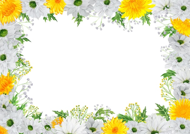 Cornice acquerello rettangolare disegnata a mano con crisantemo bianco e giallo con gypsophila colorata