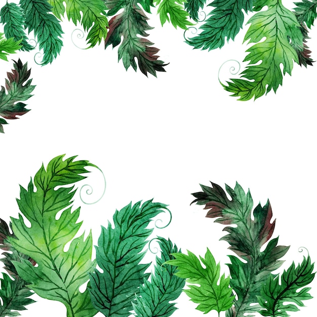 Cornice ad acquerello con foglie di acanto verde stilizzato