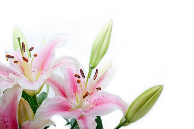 Cornice ad angolo con fiori di giglio