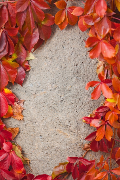 Cornice astratta autunnale. Muro e foglie