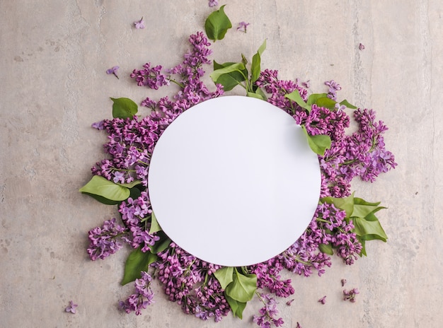 cornice con fiori lilla su sfondo grigio