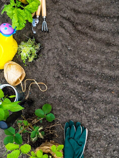 Cornice copyspace con attrezzi da giardinaggio piantina sfondo